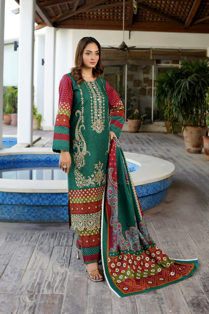 3 Piece Stitched Winter Cotton Suit-Embroidered